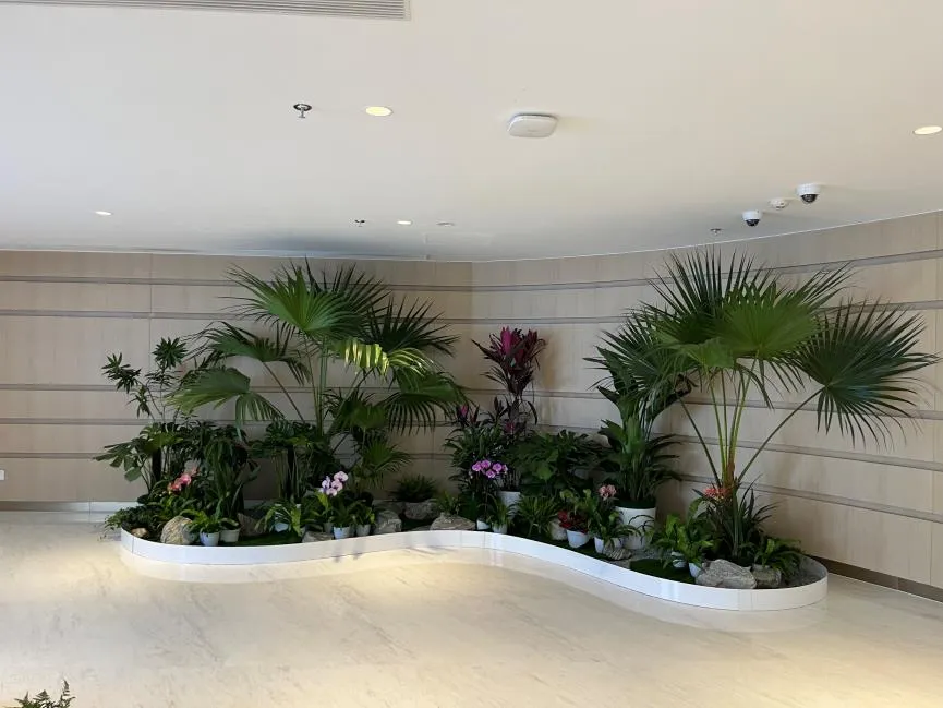 慈溪花卉租赁，轻松营造浪漫多彩的办公环境